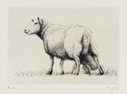 Sheep with Lamb II