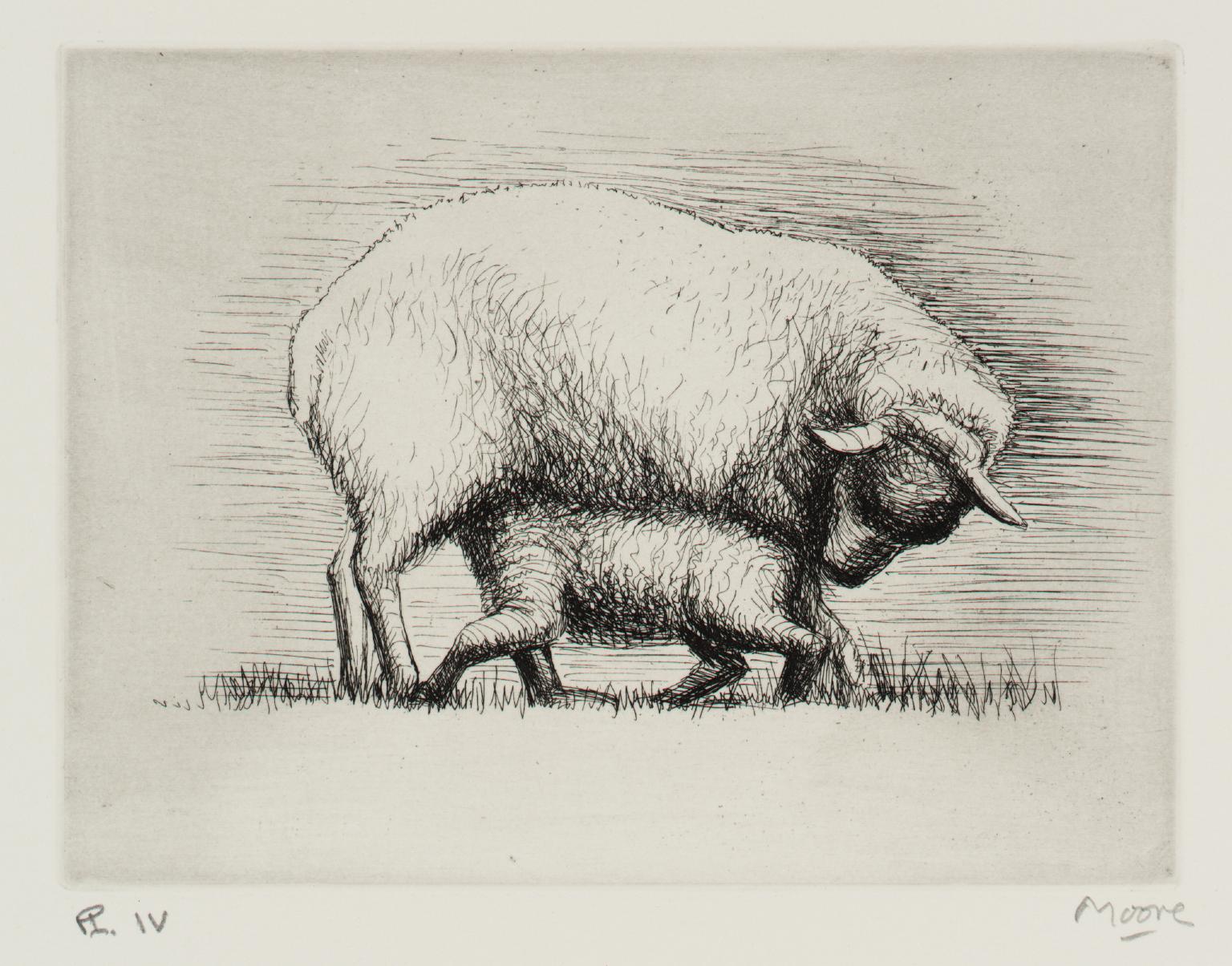 Sheep with Lamb IV