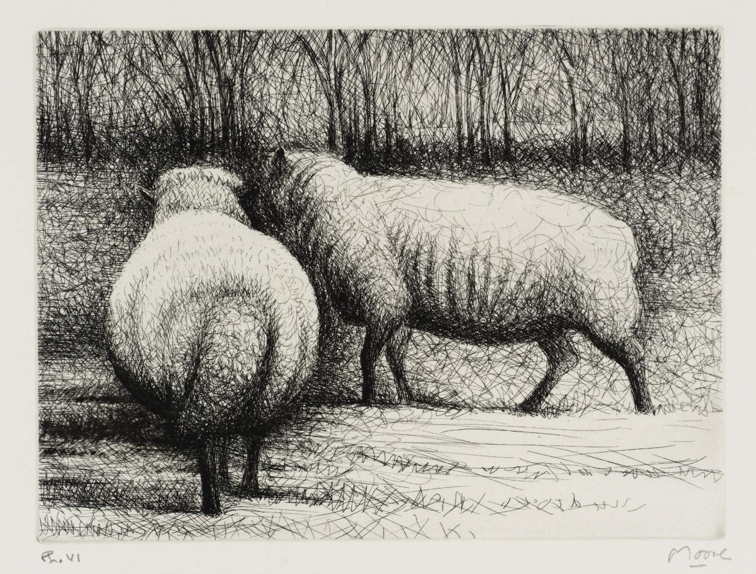 Henry moore sheep drawings