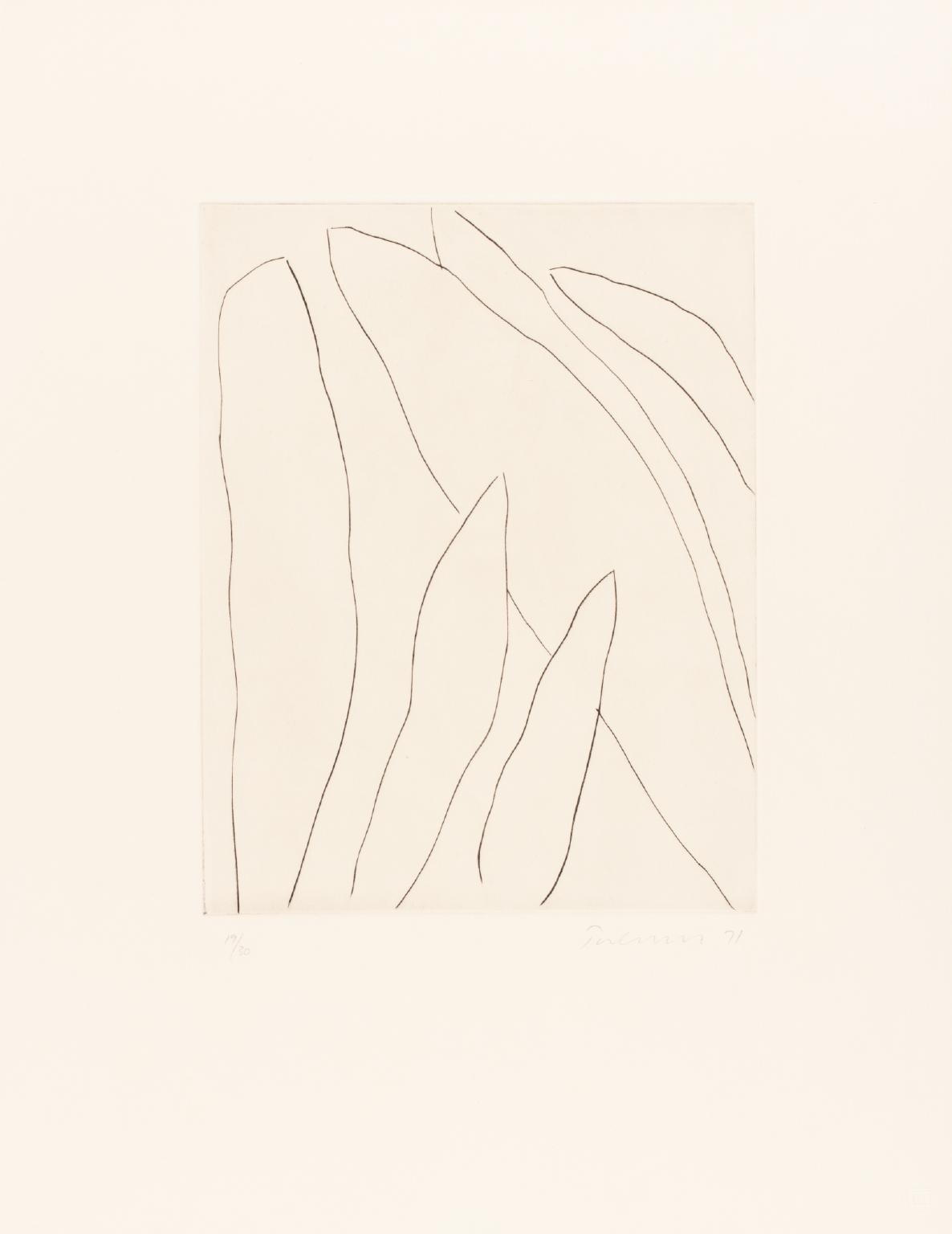 Leaves - Drypoint I