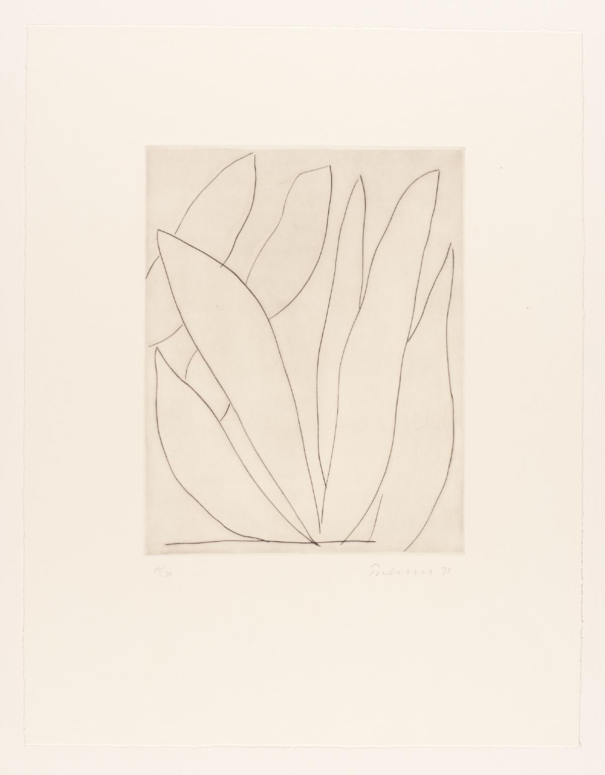Leaves - Drypoint II