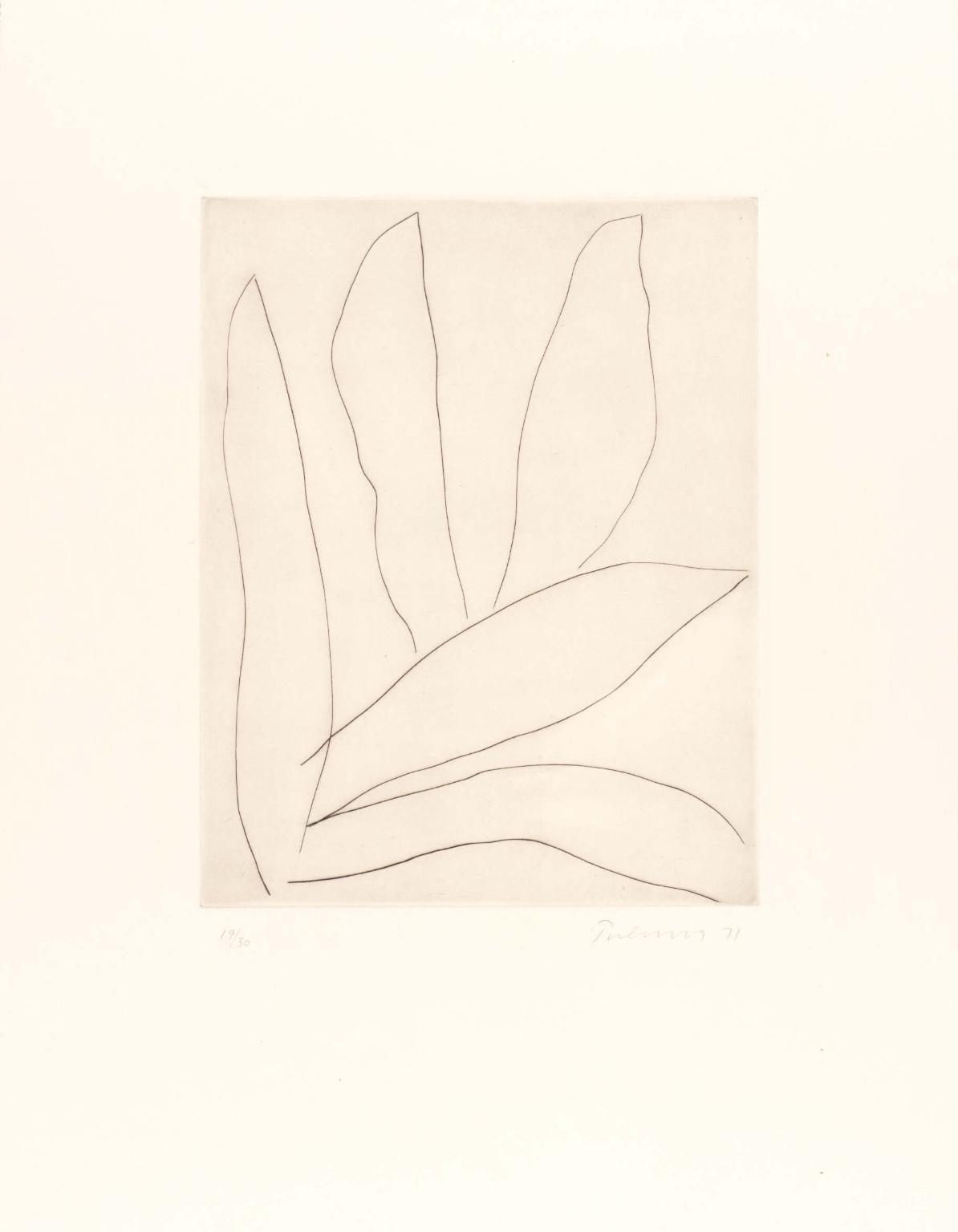 Leaves - Drypoint V