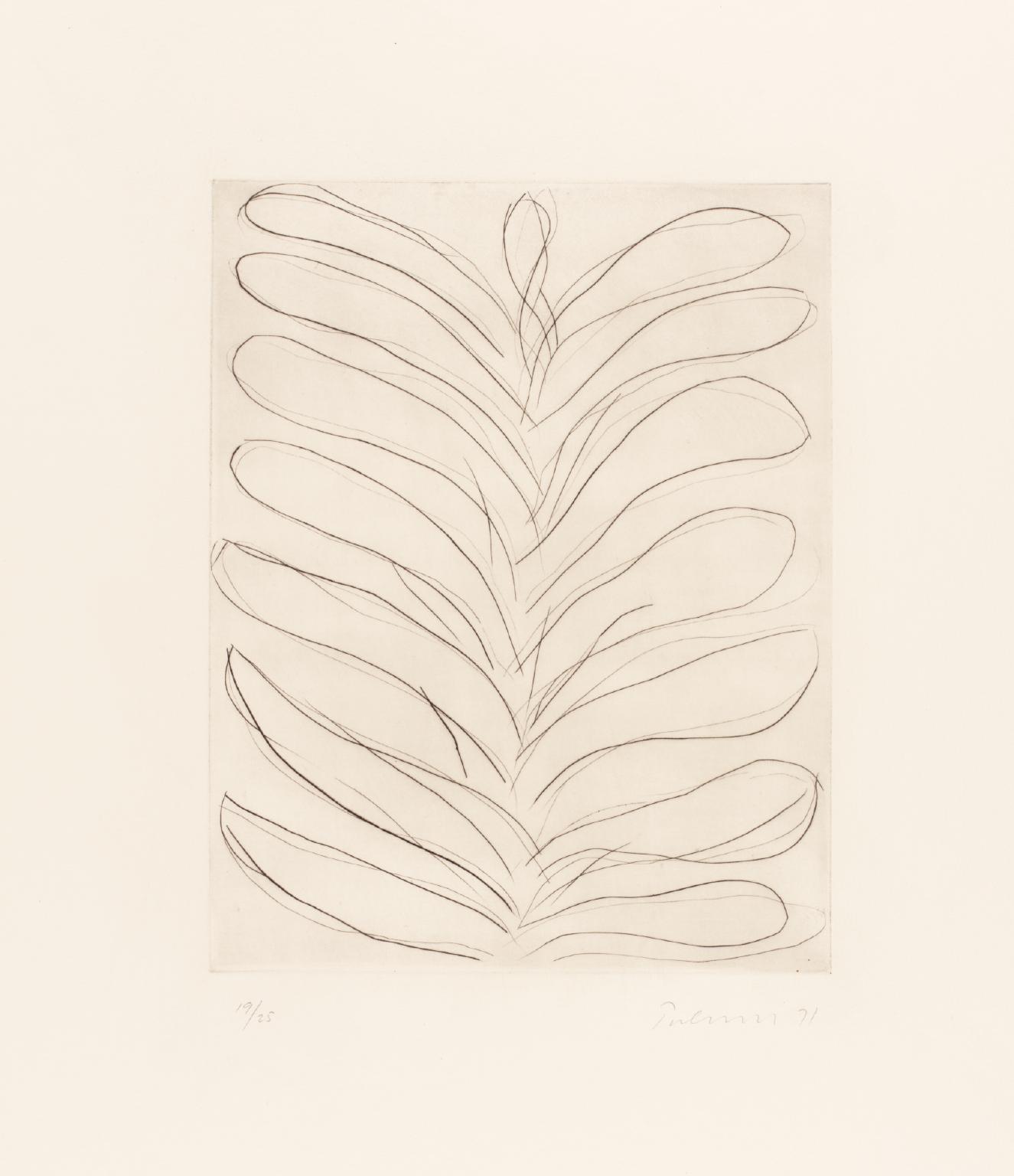 Leaves - Drypoint VI