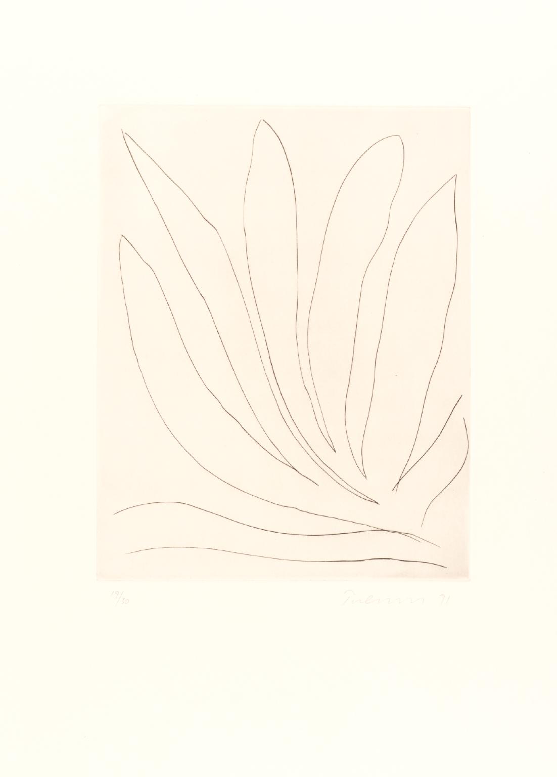 Leaves - Drypoint VII