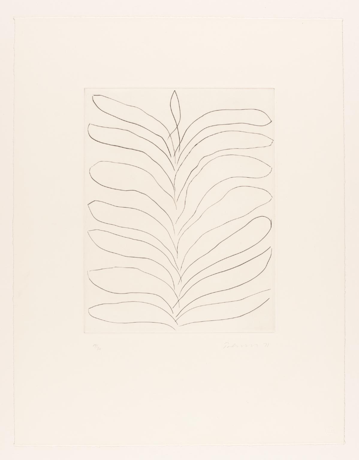 Leaves - Drypoint VIII