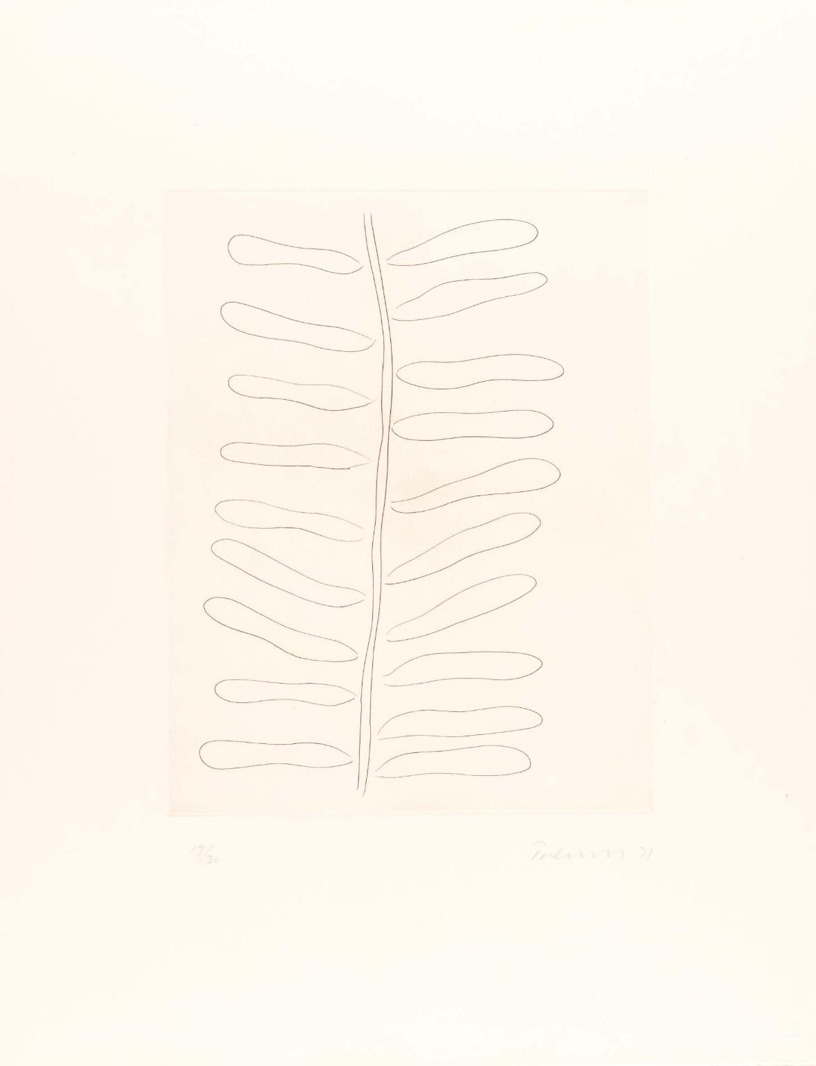 Leaves - Drypoint XV
