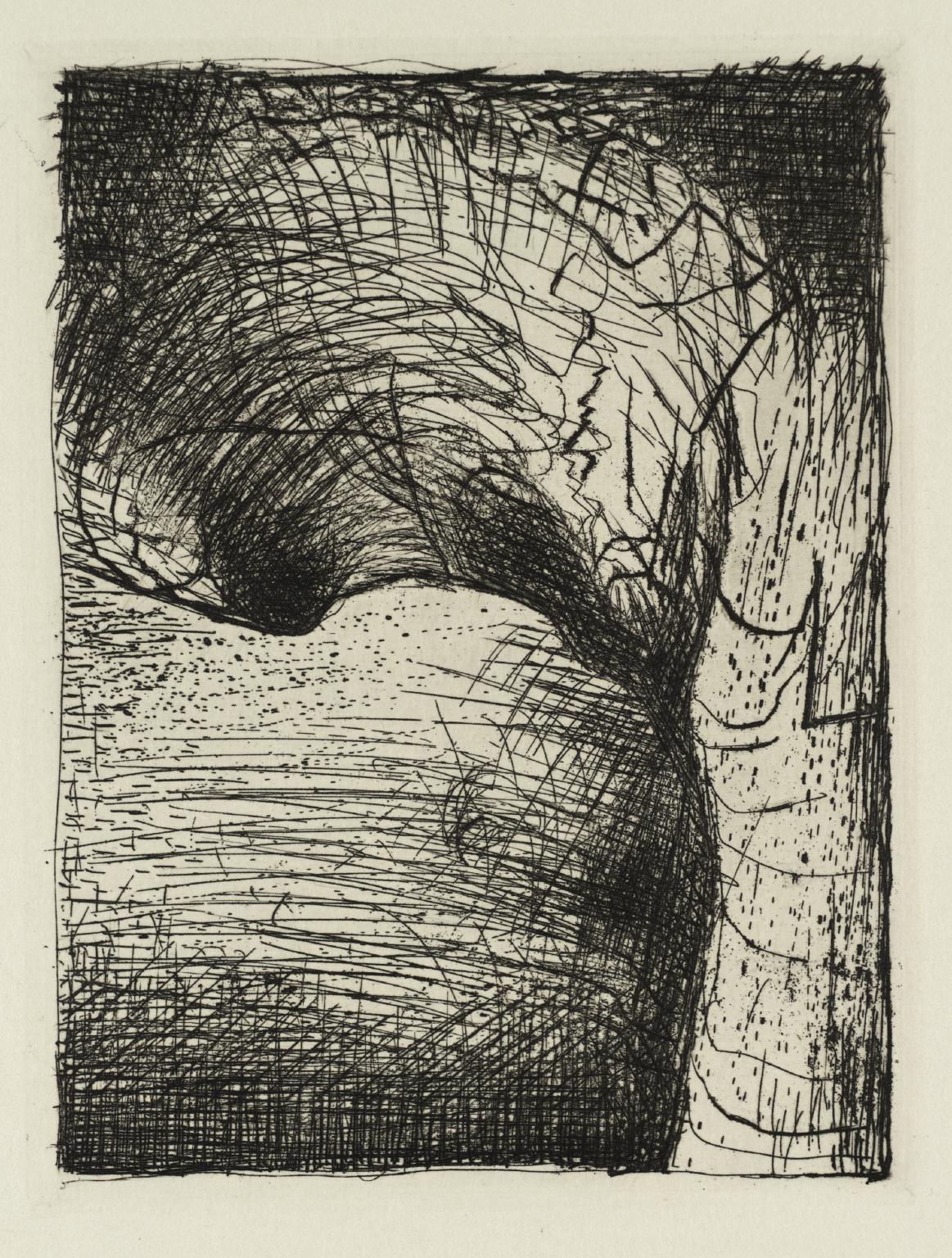 Elephant Skull: Arch Form