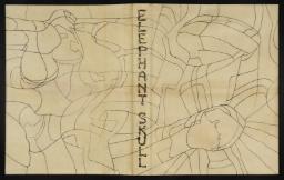 Elephant Skull Cover