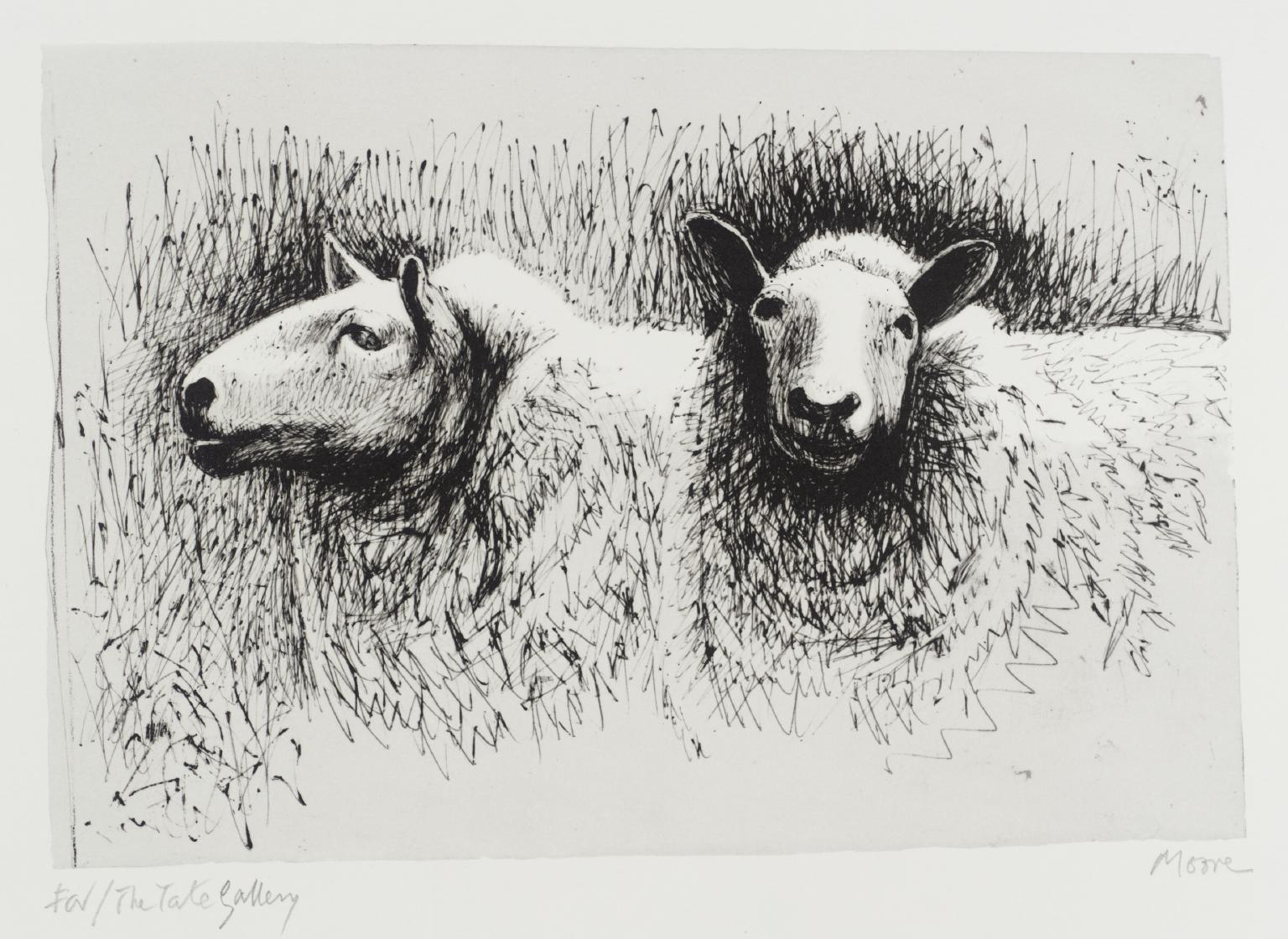 Sheep Before Shearing