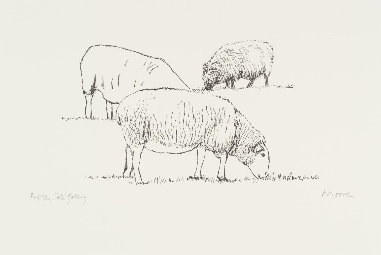 Three Grazing Sheep