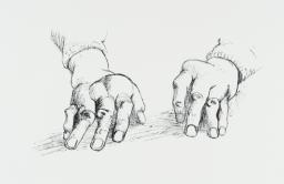 Hands of Dorothy Crowfoot Hodgkin I