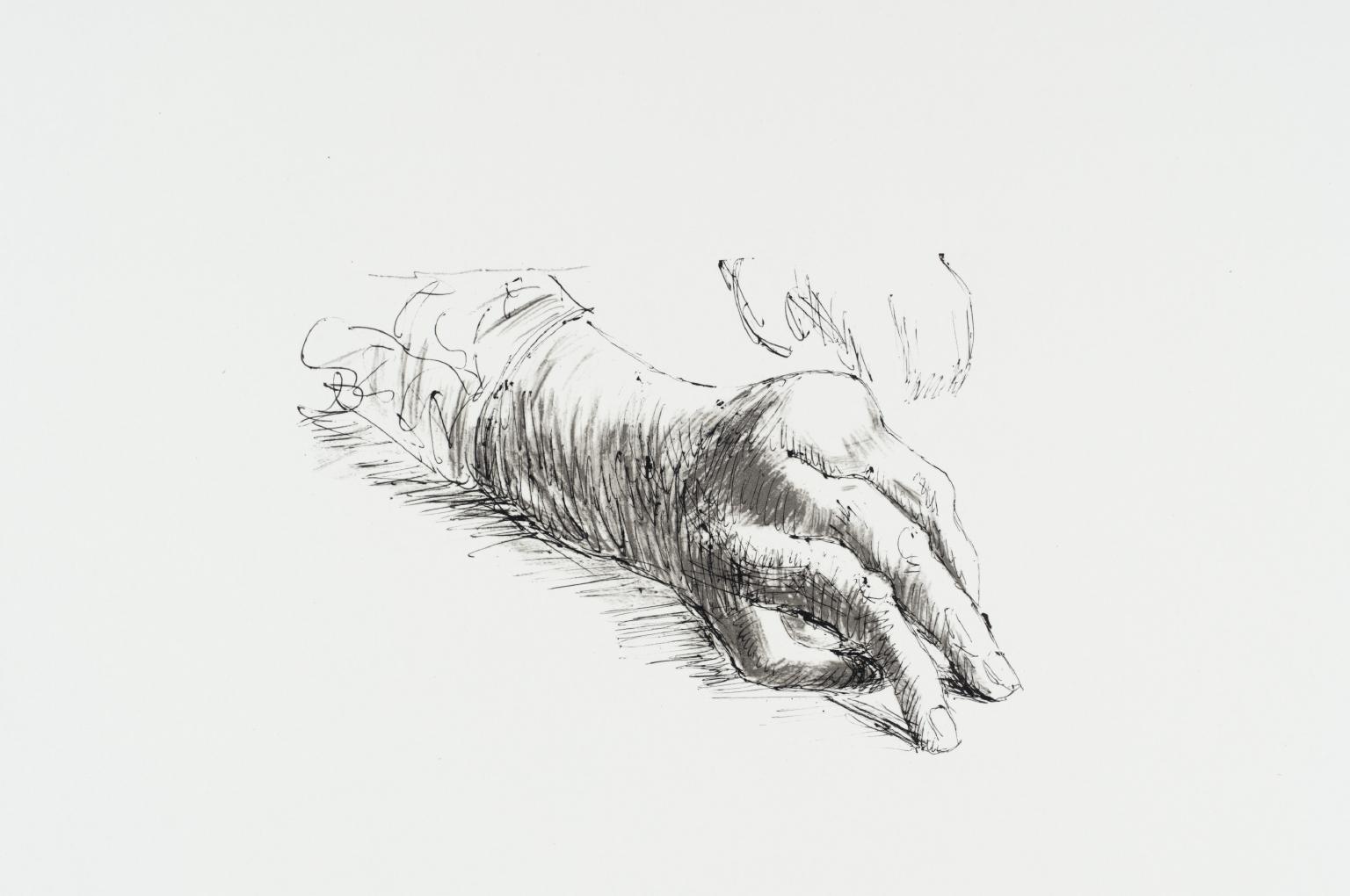 Hands of Dorothy Crowfoot Hodgkin IV