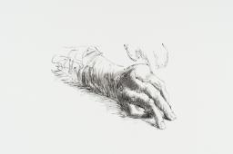 Hands of Dorothy Crowfoot Hodgkin IV