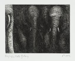 Elephants