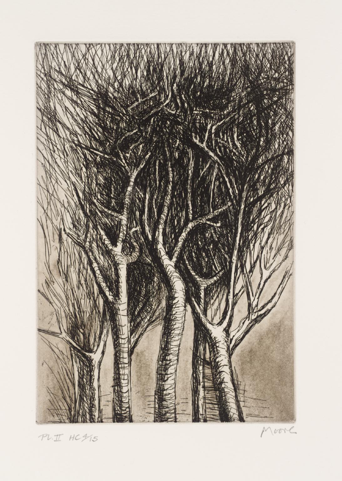 Trees II Upright Branches