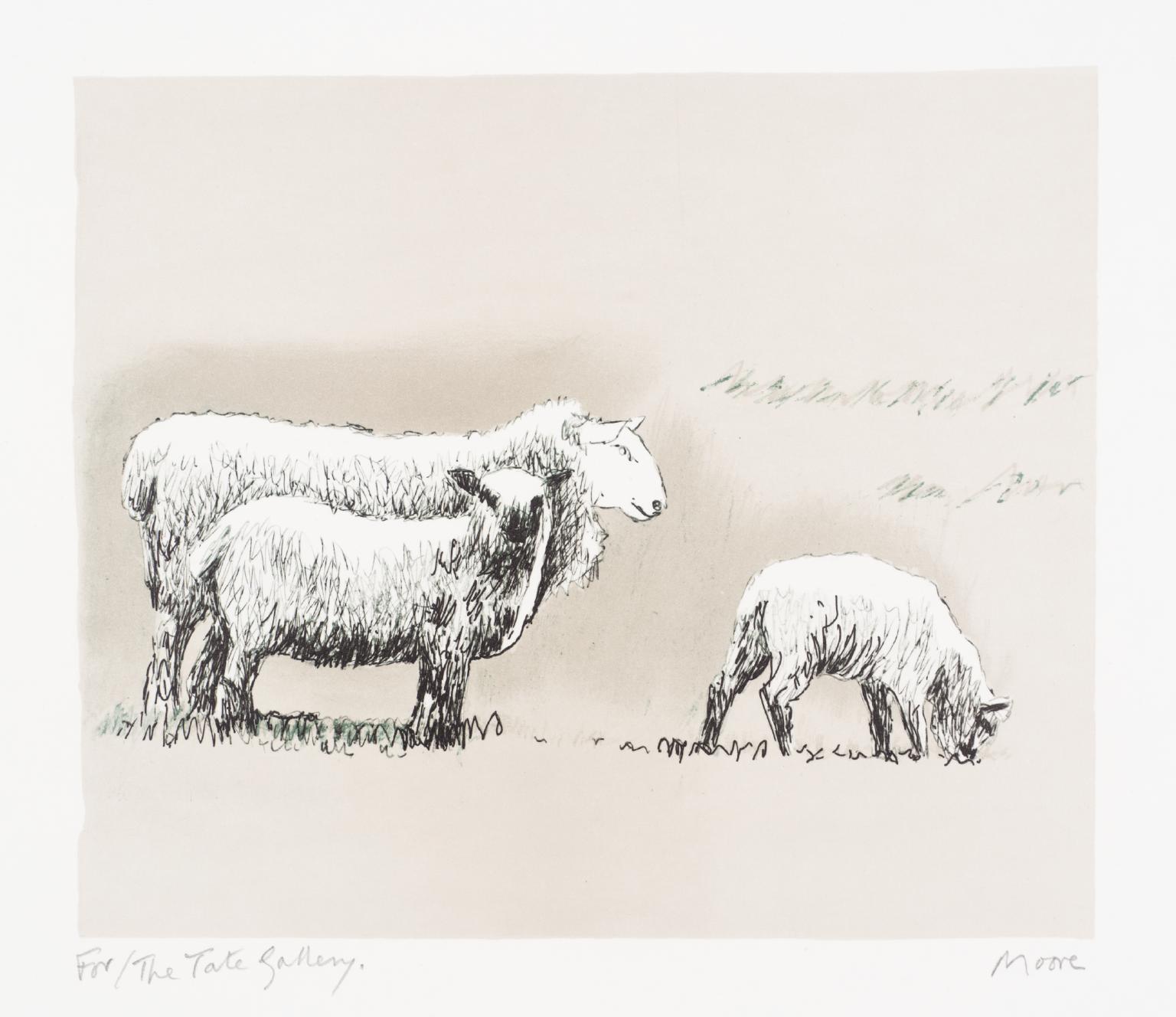 Sheep in Landscape