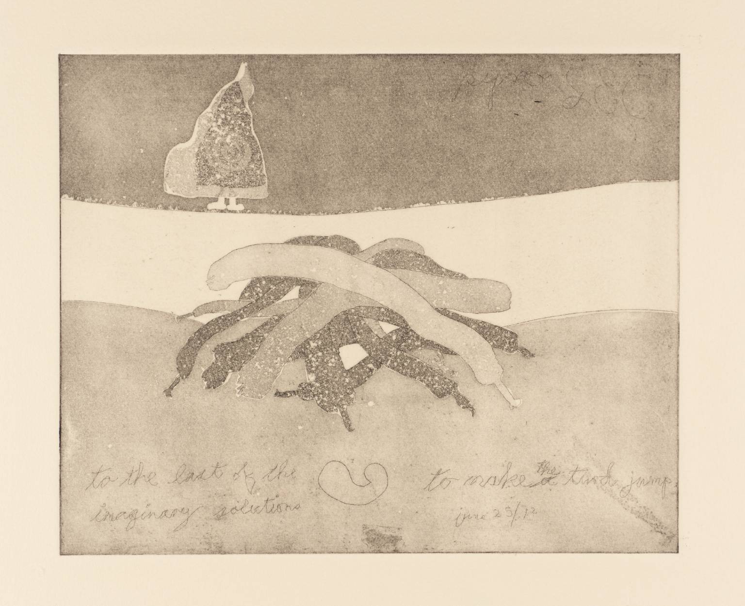 To the Last of the Imaginary Solutions