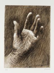 The Artist’s Hand V