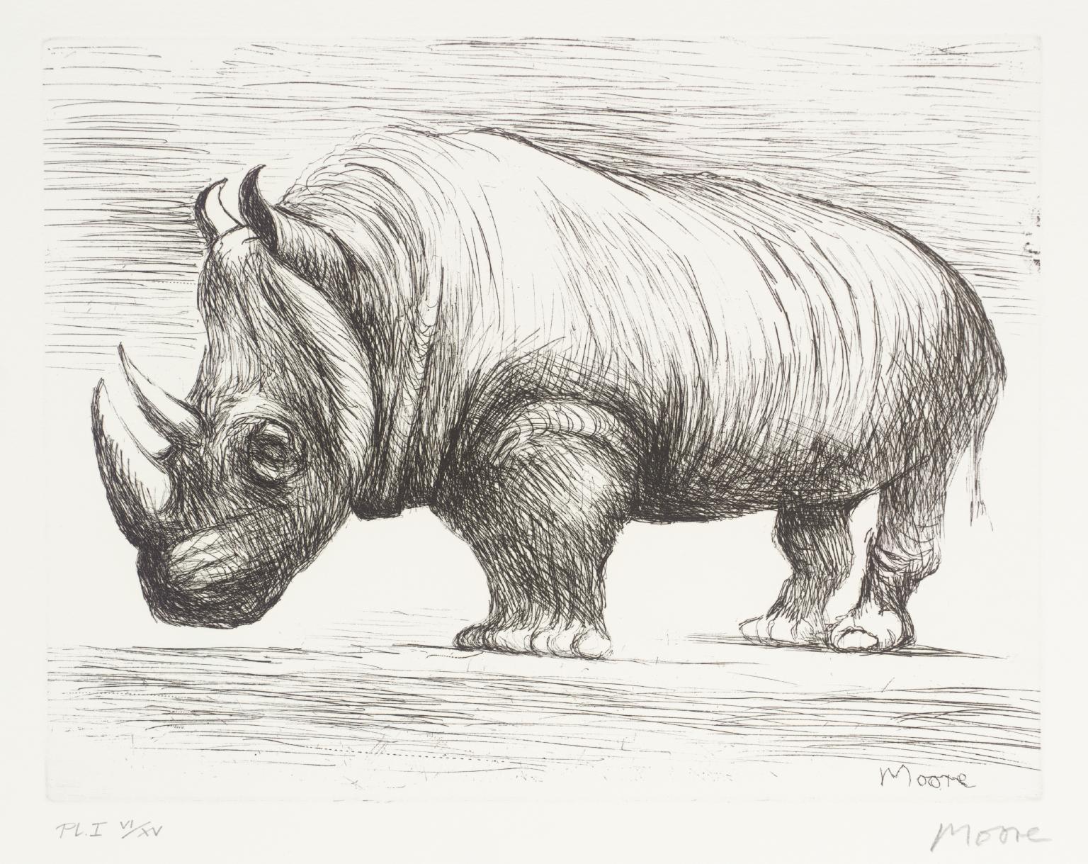 Rhinoceros
