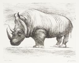 Rhinoceros