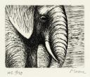 ‘Elephant’s Head‘, Henry Moore OM, CH, 1982 | Tate