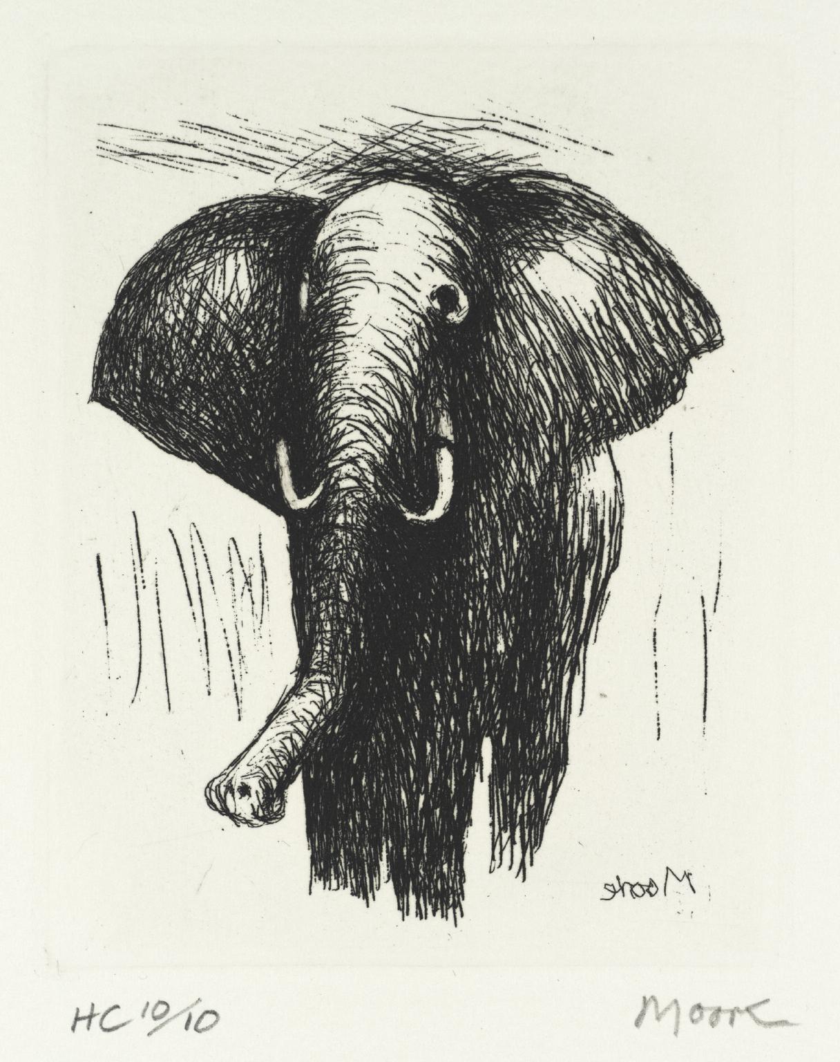 Elephant