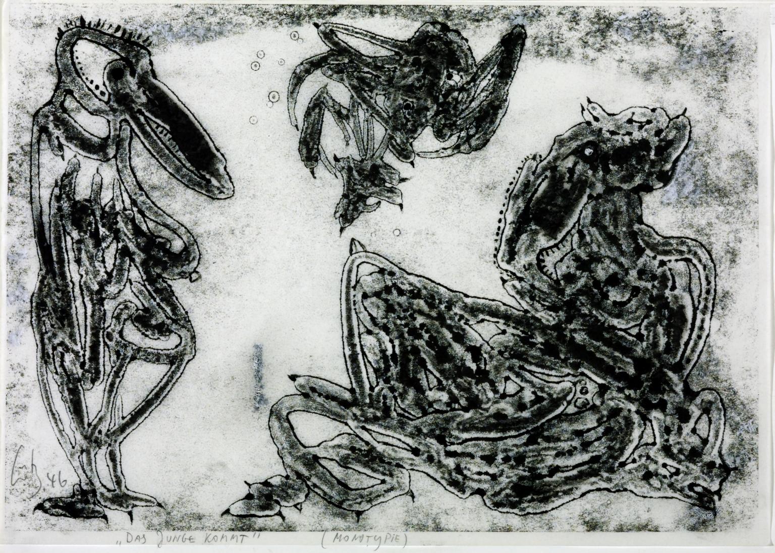 The Young One is Coming