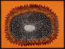 Ghitta Caiserman-Roth, ‘Sunflower 3’ 1971–2