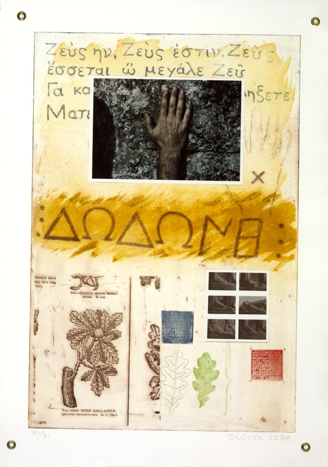 Proscinemi, Dodona, Oracle of Zeus