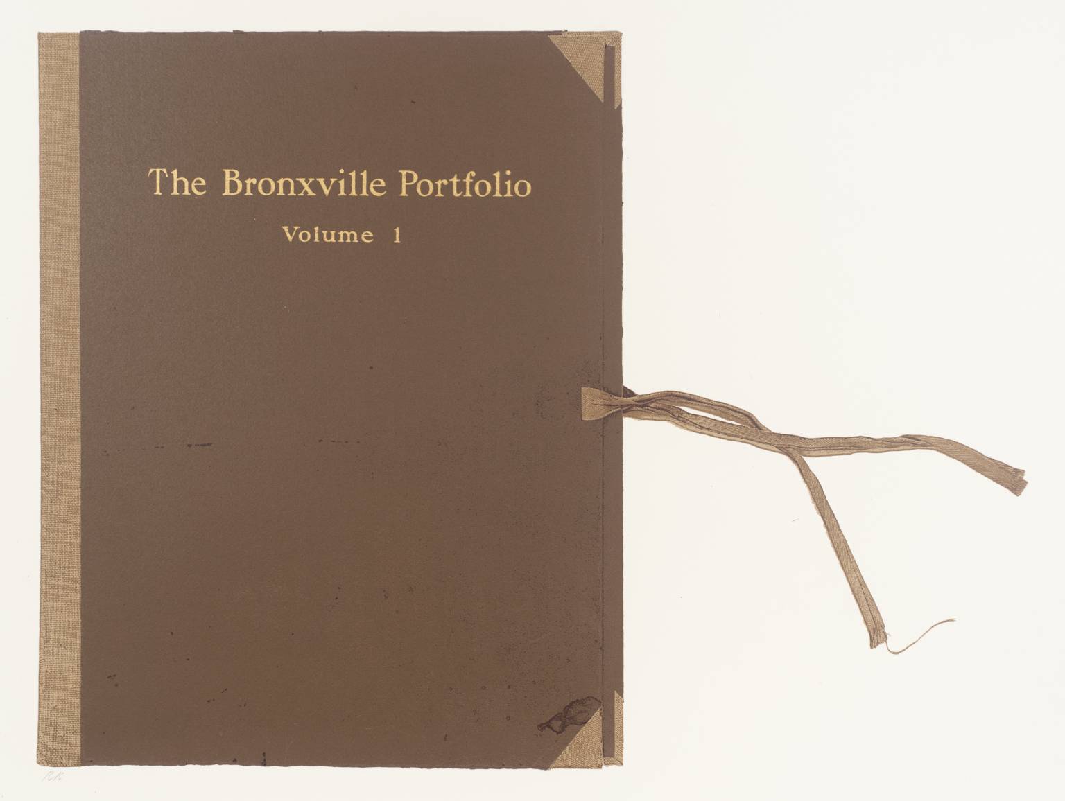 (9) The Bronxville Portfolio