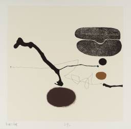 Linear Development 5