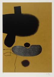 Points of Contact No. 20