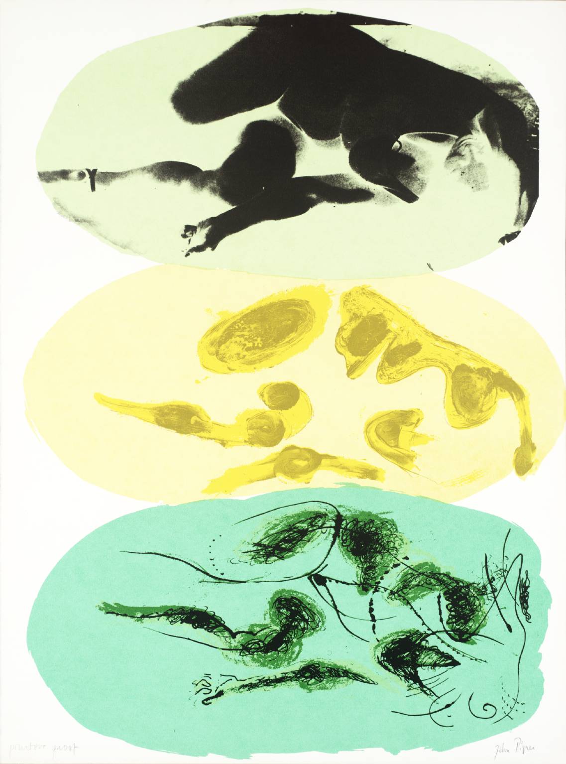 Eye and Camera: Yellow and Green