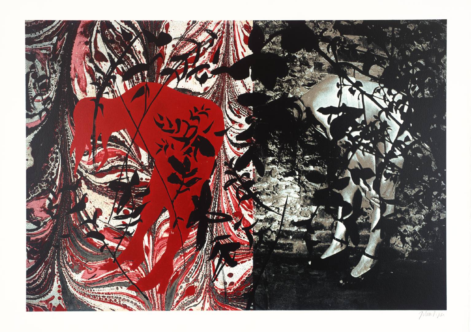 Eye and Camera: Red and Black