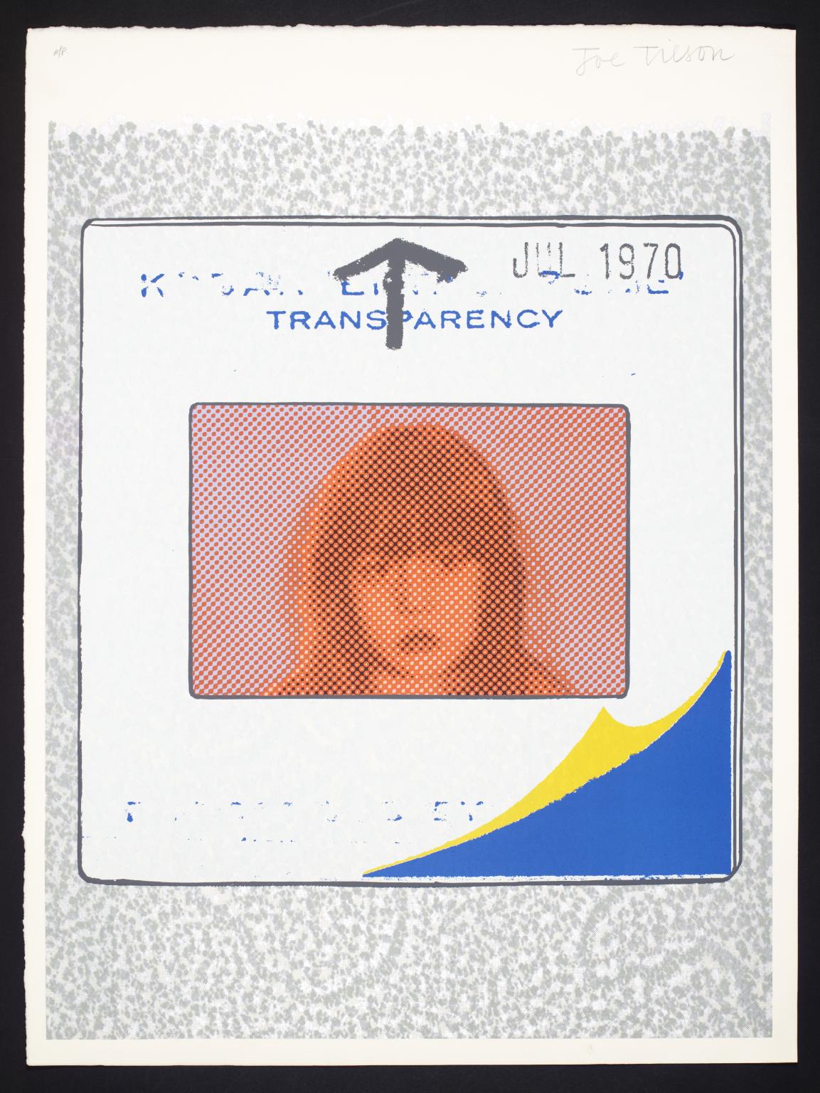 Transparency, Snapshot