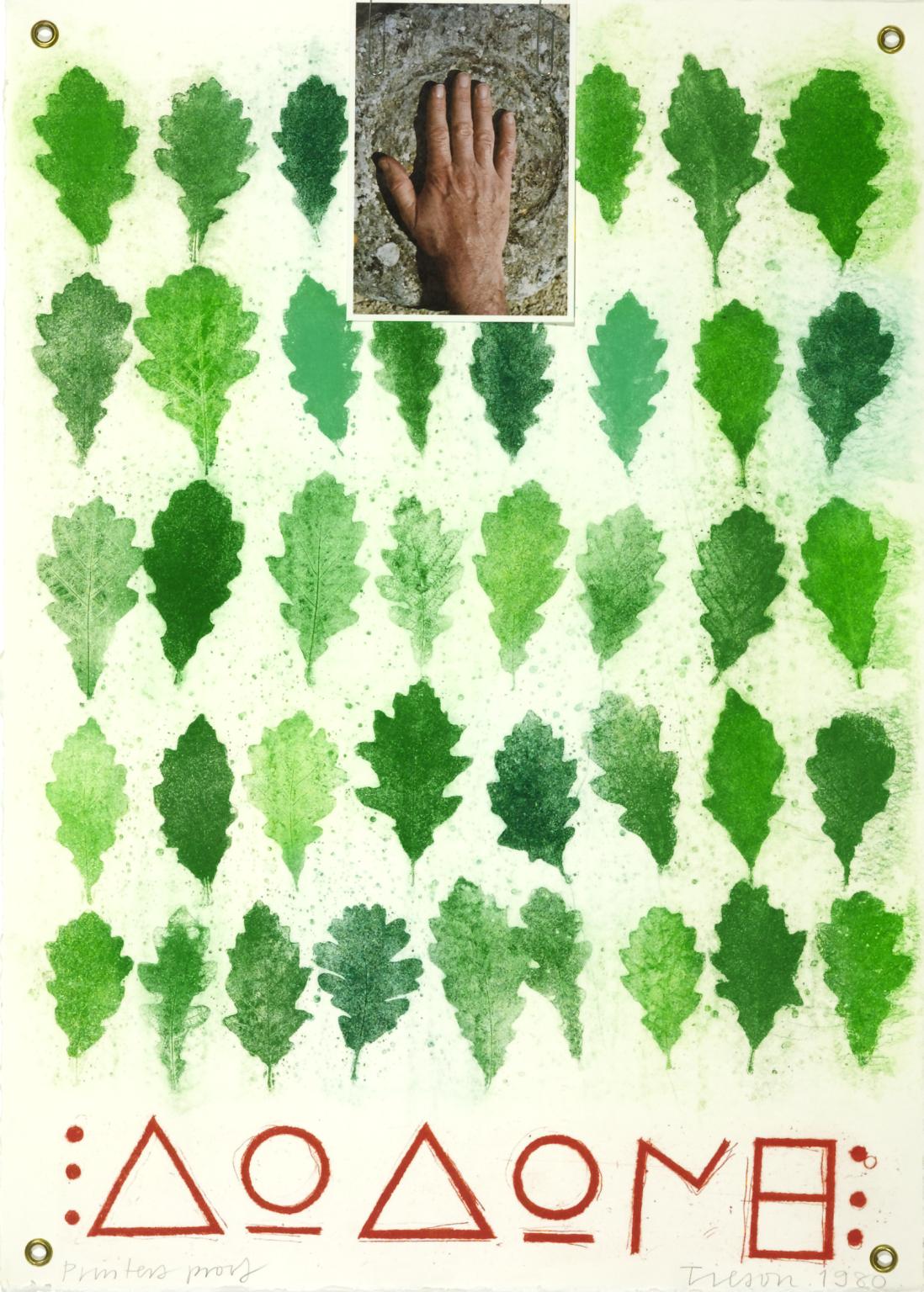 Oak Oracle
