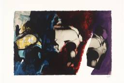 Eye and Camera, Red, Blue and Yellow