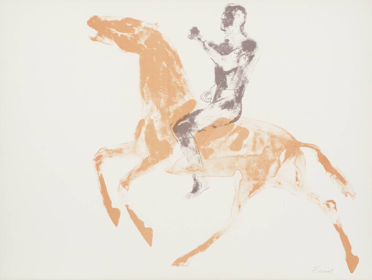 Horse and Rider