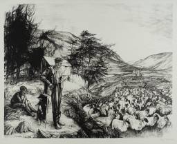 Shepherd