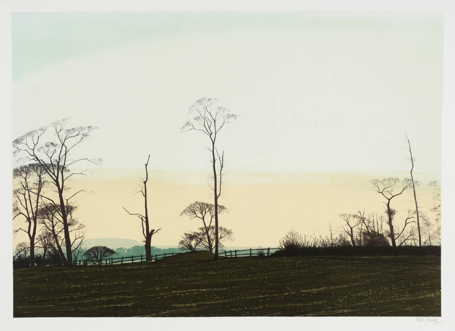 NOVEMBER Late Afternoon