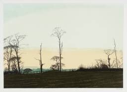 NOVEMBER Late Afternoon