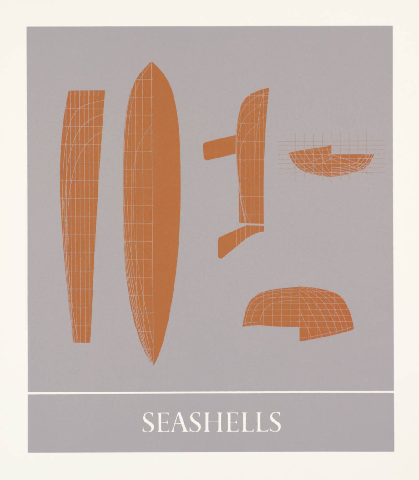 Seashells [collaboration with Ian Procktor]