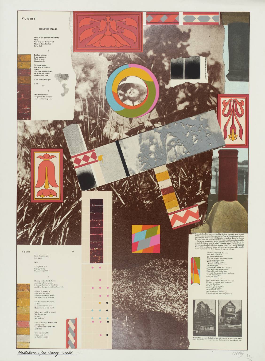 Hellebore for Georg Traki