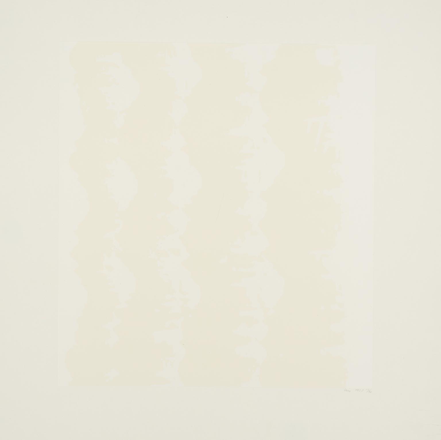 Screenprint - White on White