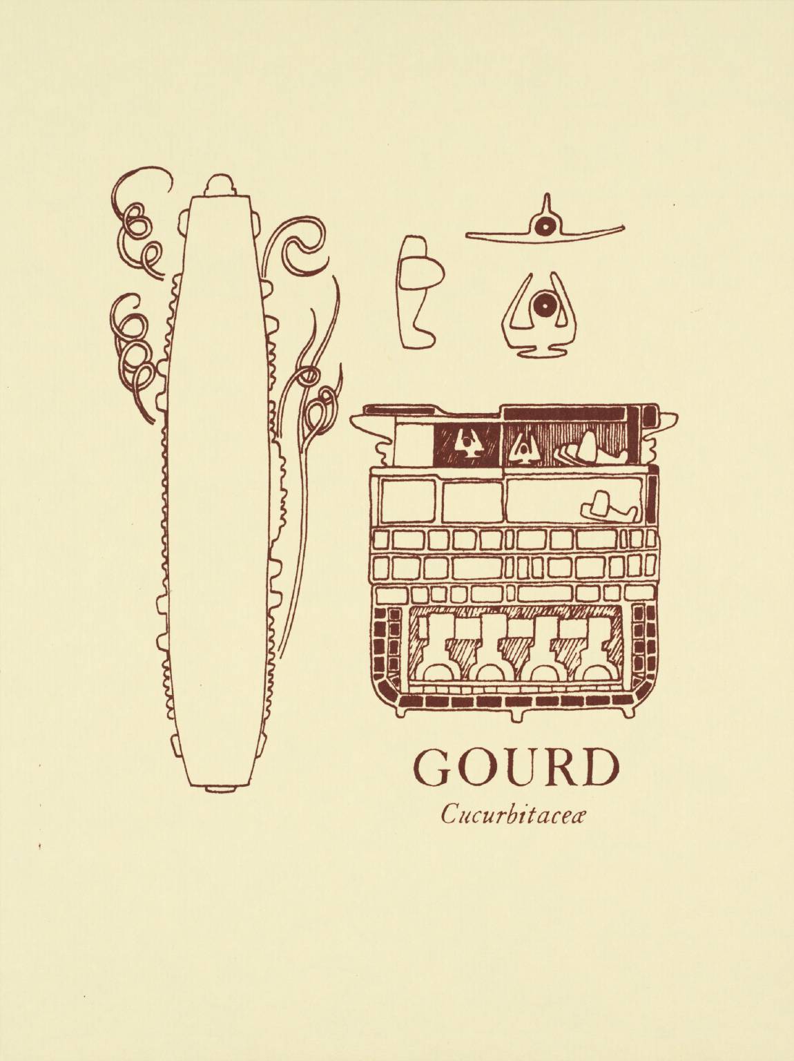 Gourd [collaboration with Ron Costley]