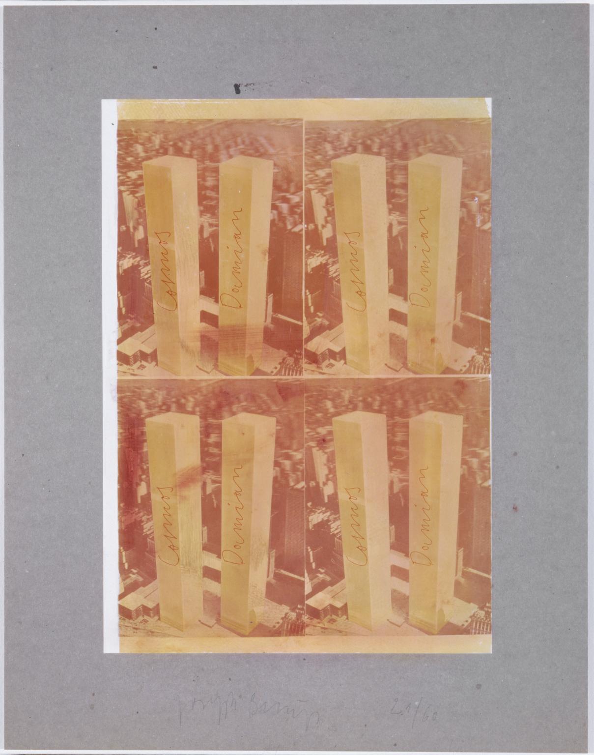 Cosmos and Damien Polished