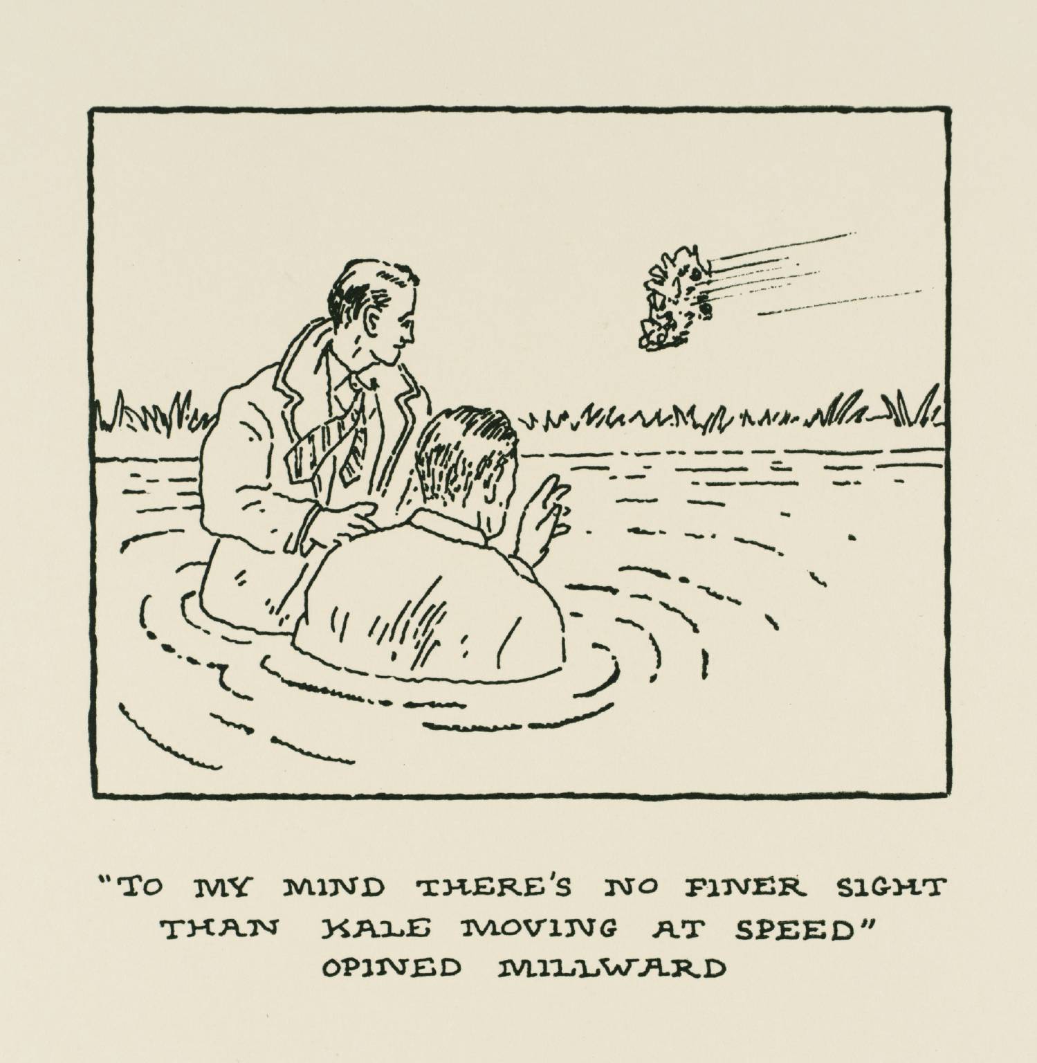 ‘To my mind there’s no finer sight than kale moving at speed’ Opined Millward