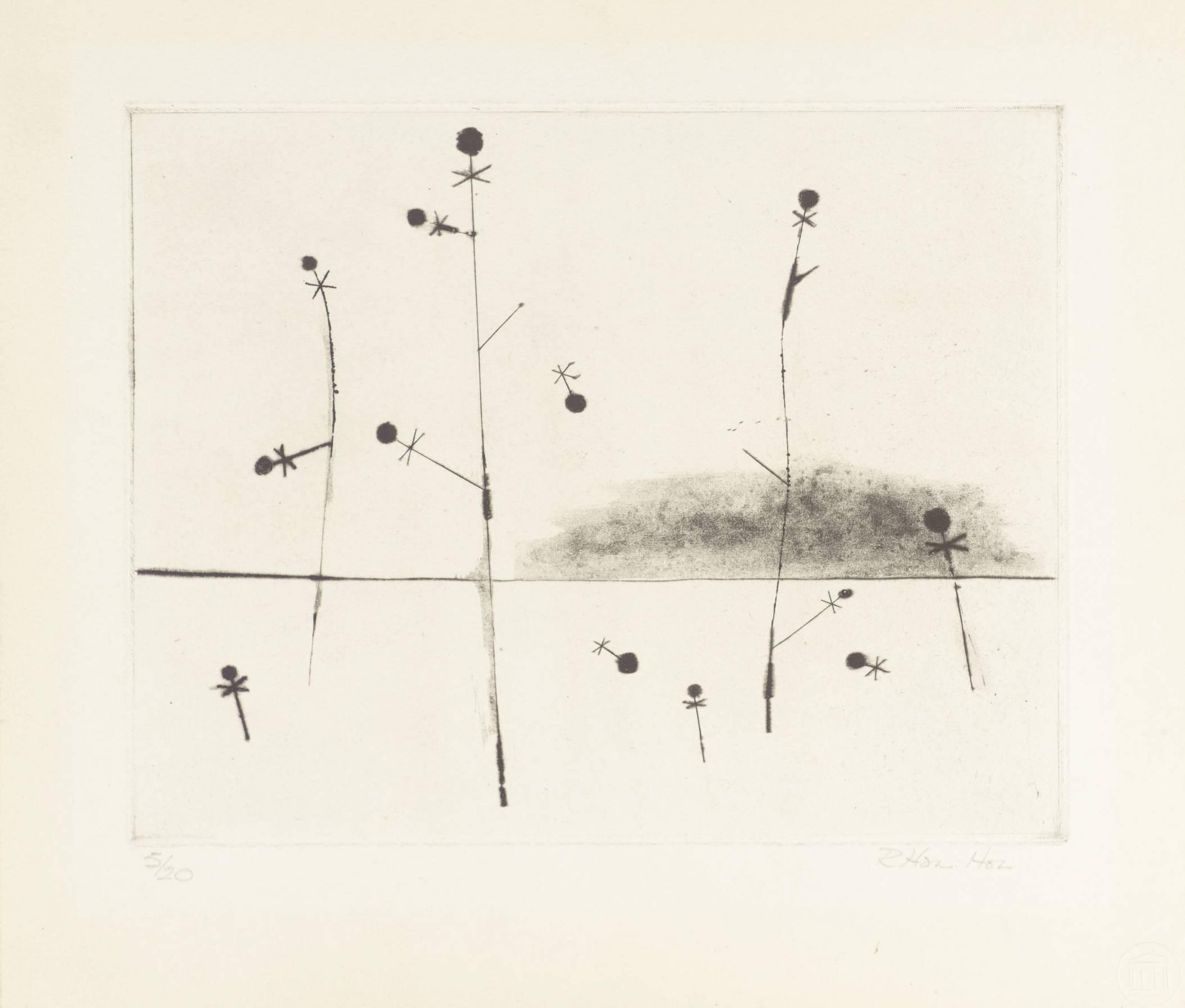 Microcosmos: plant cycle