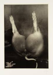 Canto VI: [no title]