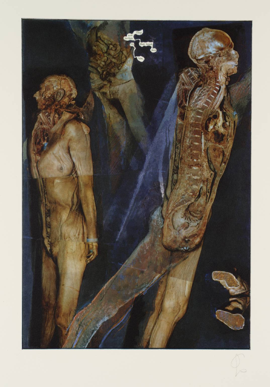 Canto XXVIII: [no title]